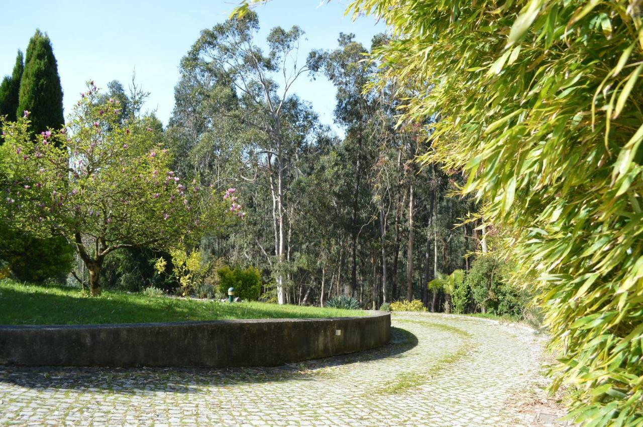Bamboo Guest House Águeda Exteriér fotografie